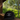 A black snapback cap with white embroidered text reading 'Lonesome Seven' and a horse logo, resting on a wooden railing with a forest background visible through an opening.
