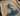 Western Surf Tee